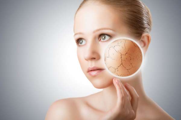 Регенерирующий эффект кожи и его регуляция