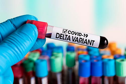 Штамм COVID-19 "Дельта": новые симптомы, опасность и эффективность вакцин