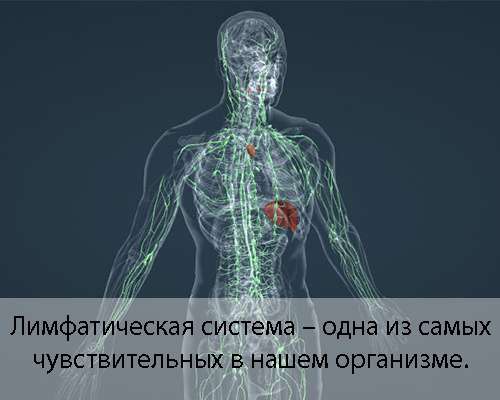 Эффективен ли массаж при похудении - Красота и здоровье - Calorizator.ru