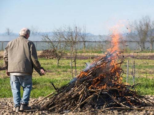 Почему весной принято сжигать хлам и выбрасывать мусор